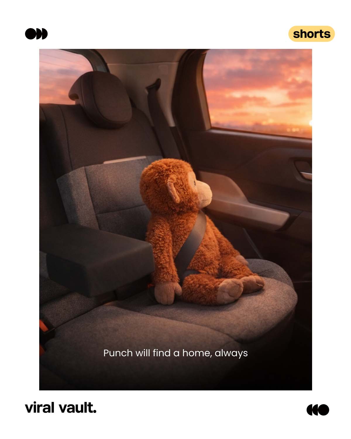 Even brands couldn’t resist jumping into the conversation, creatives, wordplay, and clever twists everywhere, all backing the Punch moment. When culture hits right, marketing follows fast.
#BrandBanter #CreativeMarketing #MomentMarketing #ViralVaultIndia