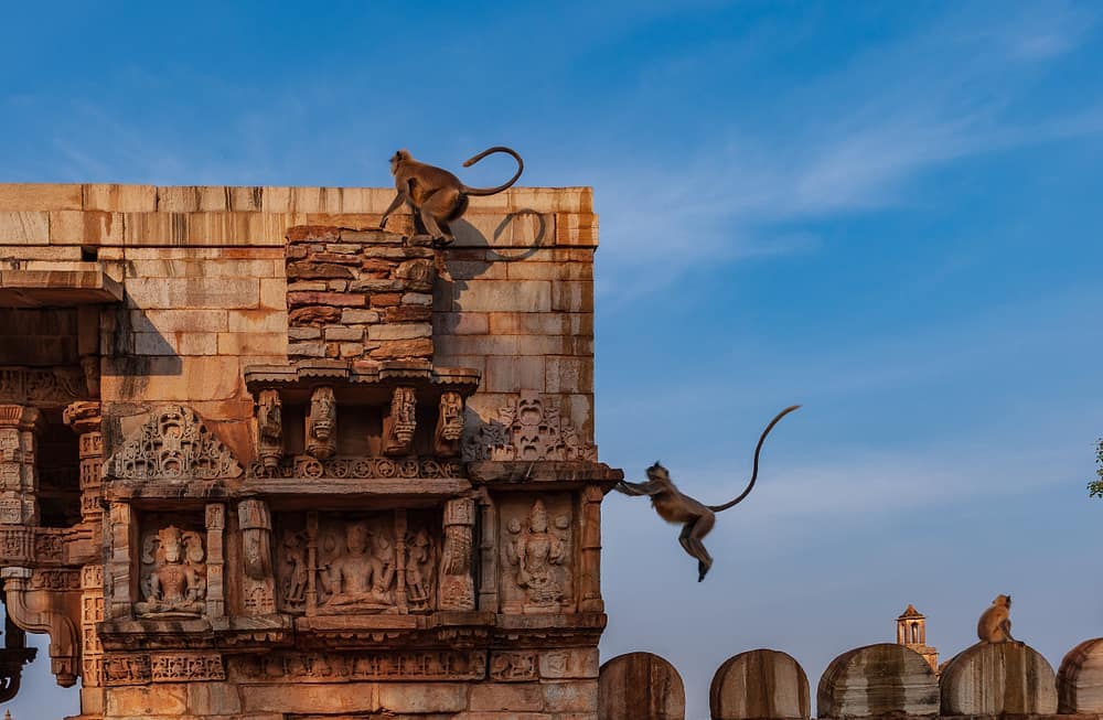 Mewar Blog Instagram post
