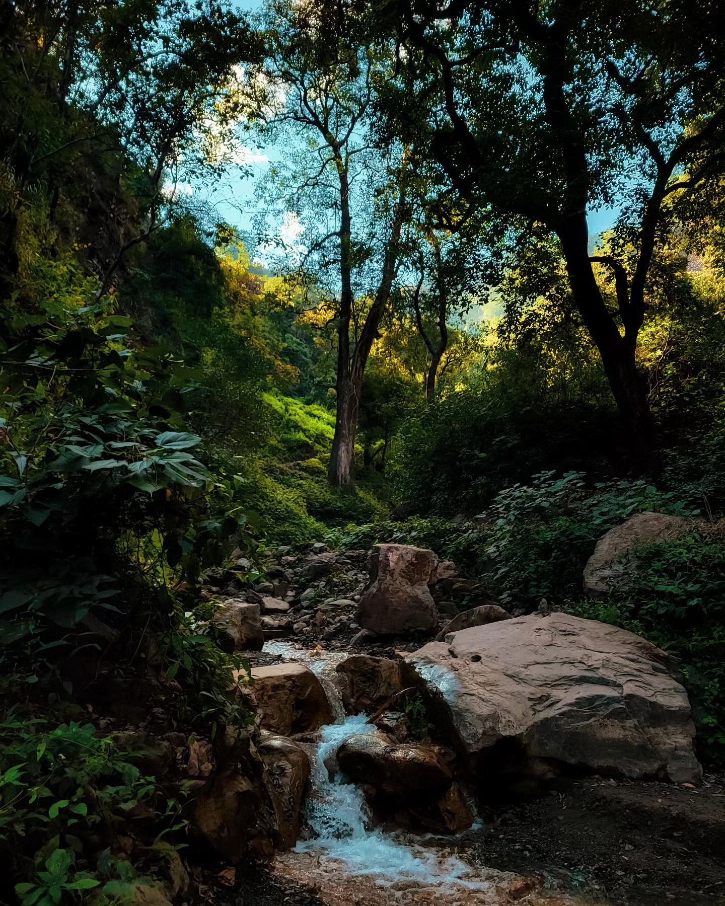 Chasing the sound of cascading beauty :)
.
.
.
.
Follow : @shantanu.nautiyal
.
.
.
📍 Rishikesh, Dehradun
.
.
.
.
{uttarakhand, india, pahadi, uttarakhandheaven, travel, dehradun, himalayas, nature, uttarakhandtourism, mountains, incredibleindia, photography, rishikesh, landscape, himachal, uttrakhand, uttarakhanddiaries, kedarnath, uttarakhandtraveller, devbhoomi, nature, nainital, love, garhwal, almora, uttarakhandi, unfiltered, travelgram, maldevta, pithoragarh, mussorie }
.
.
.
Tags :
#uttarakhand #india #pahadi #uttarakhandheaven #travel #dehradun #himalayas #nature #uttarakhandtourism #mountains #incredibleindia #photography #rishikesh #landscape #himachal #uttrakhand #uttarakhanddiaries #kedarnath #uttarakhandtraveller #devbhoomi #nature #nainital #love #garhwal #almora #uttarakhandi #unfiltered #travelgram #maldevta #pithoragarh